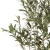 47 inch Artificial Olive Tree