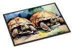 Turtles Tortoises Doormat Front Door Mat Indoor Outdoor Rugs for Entryway, Non Slip Washable Low Pile, 24H X 36W