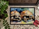 Turtles Tortoises Doormat Front Door Mat Indoor Outdoor Rugs for Entryway, Non Slip Washable Low Pile, 24H X 36W